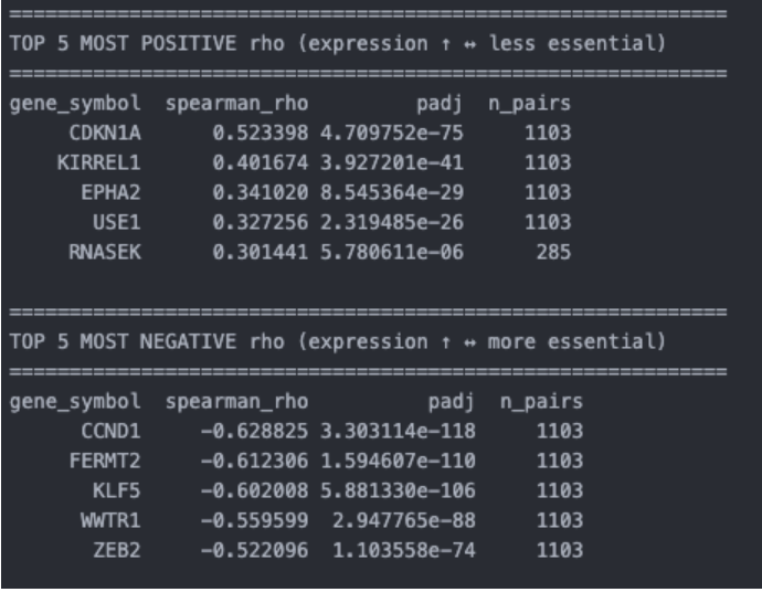 Screenshot 2026-03-11 at 17.03.26.png